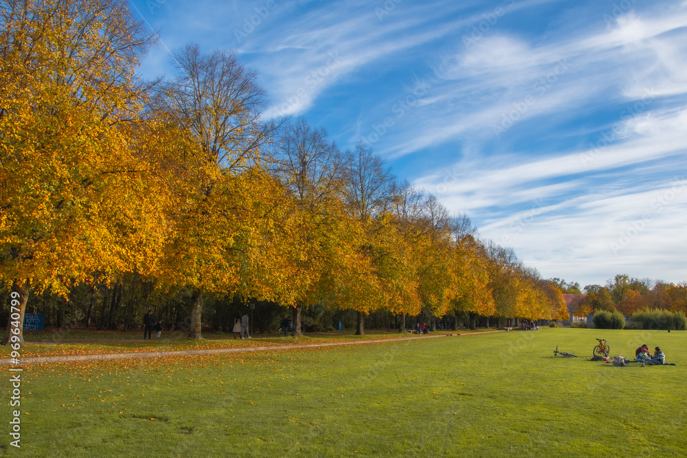 autumn park with yellow trees and yellow grass in ingolstadt city bavaria germany autumn park with yellow trees and yellow grass in ingolstadt city bavaria germany