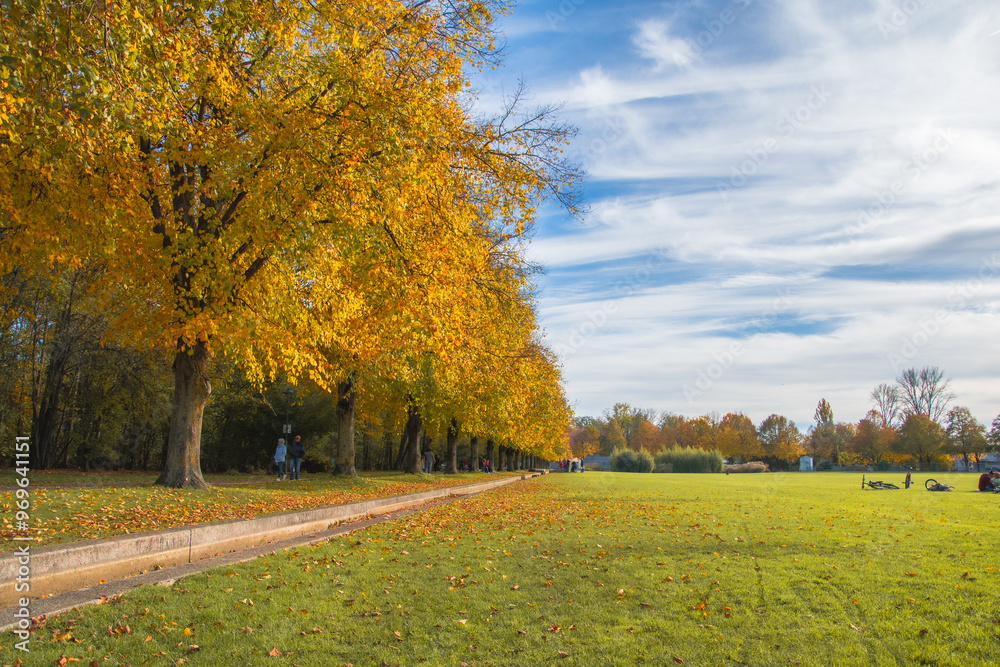 autumn park with yellow trees and yellow grass in ingolstadt city bavaria germany autumn park with yellow trees and yellow grass in ingolstadt city bavaria germany