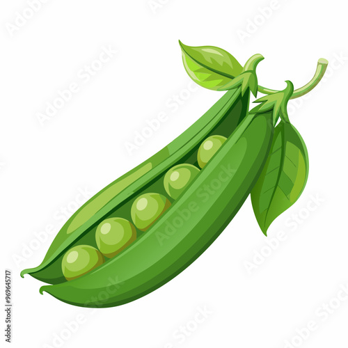 pea pod and peas