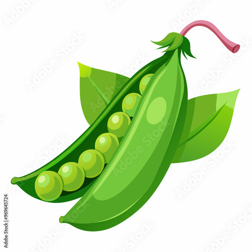 pea pod and peas