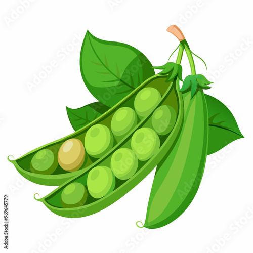 pea pod and peas