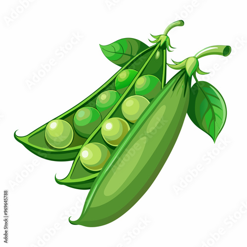pea pod and peas