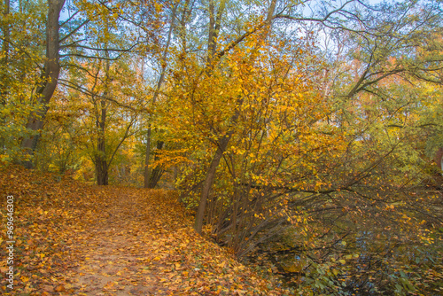autumn photos in bavaria ingolstadt 	
