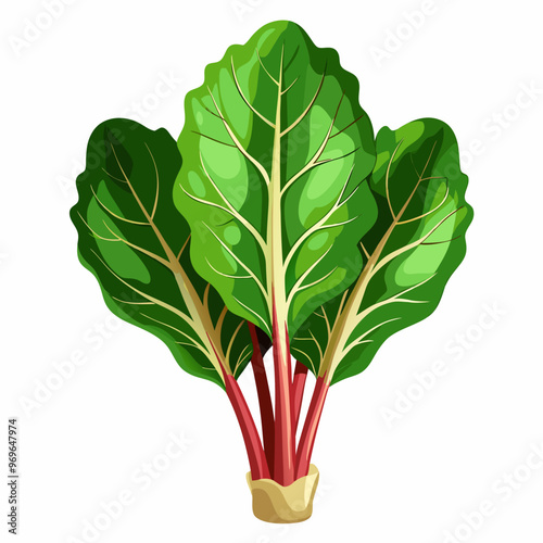 silver beet
