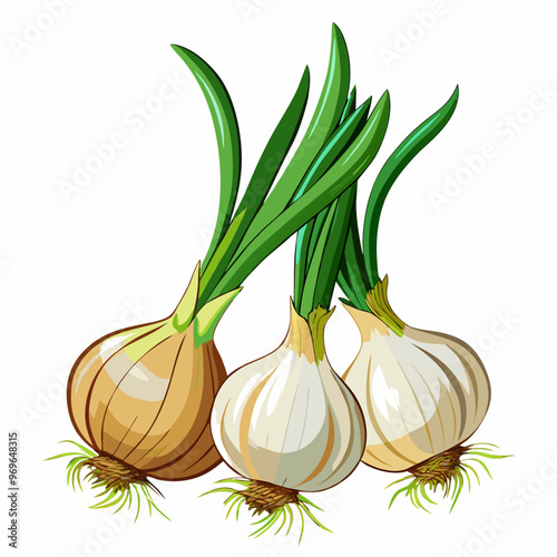 spring-onions