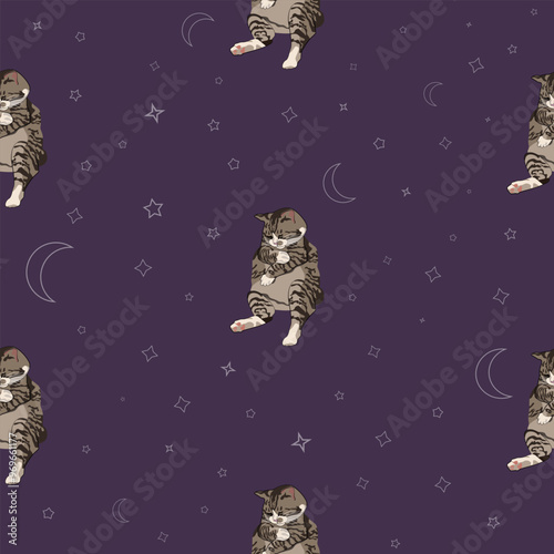 A pattern (infinite picture) of a cat meme - a cat is sleeping. The illustration is made in pastel dark colors. The picture conveys a joke, humor, meme, calmness.
