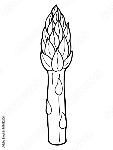 Asparagus Delight: Fun Coloring Book Pages for Kids and Adults photo