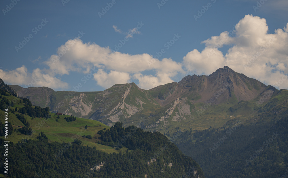 Fototapeta premium Alpine mountains and like in Switzerland. Alps mountains in Switzerland. Forest in the Swiss Alps. Panoramic of the nature of Switzerland. Nature of Swiss lakes. Switzerland scenic landscape.