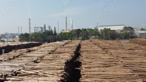 Madeira tora toretes produção industrial cortado estoque árvore meio ambiente produção de papel e celulose photo