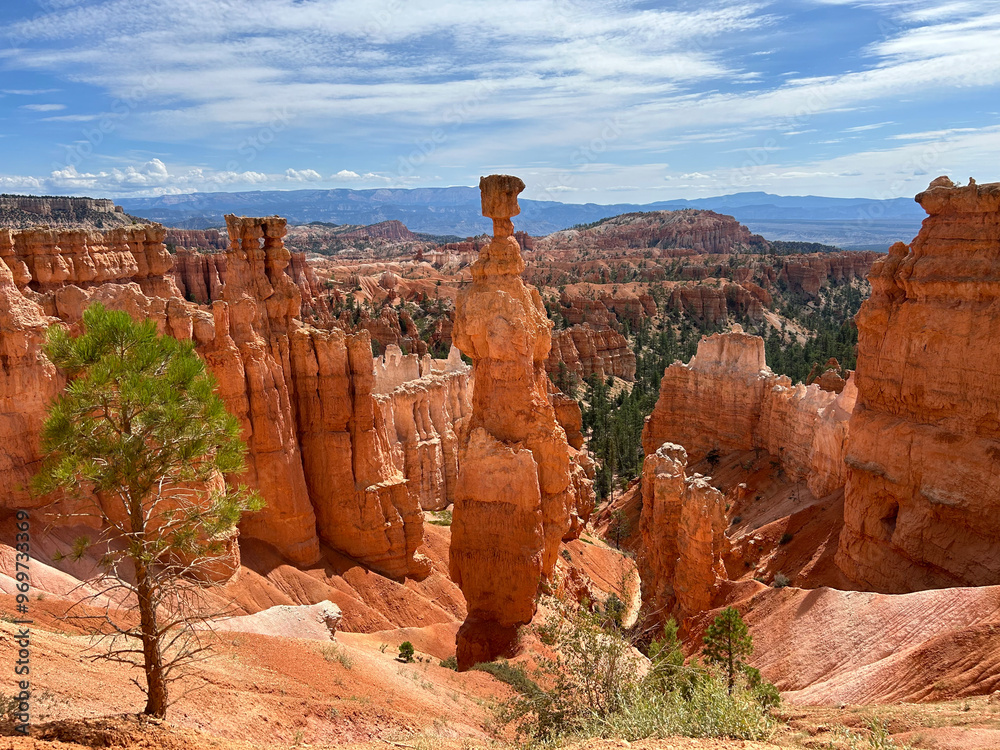 cany, canyon view from the top, landscape, rock, canyon, nature, usa, park, desert, utah, sky, travel, national, america, sandstone, red, arizona, valley, national park, mountain, southwest, mountains cany, canyon view from the top, landscape, rock, canyon, nature, usa, park, desert, utah, sky, travel, national, america, sandstone, red, arizona, valley, national park, mountain, southwest, mountains