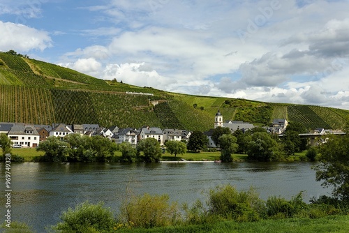 Picturesque village with vineyards on a hill and a river in the foreground, Kinheim, Germany photo