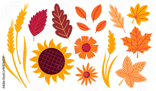 Autumn cozy design elements. Set of fall leaves, foliage and flowers. Flat Vector illustration isolated on white background
