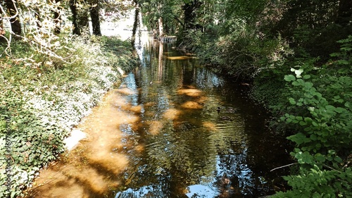 Rzeka w parku. 