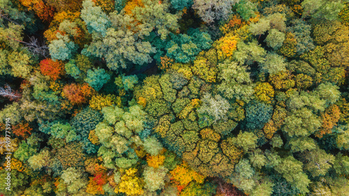 autumn landscape. aerial view of colorful forest. drone shot