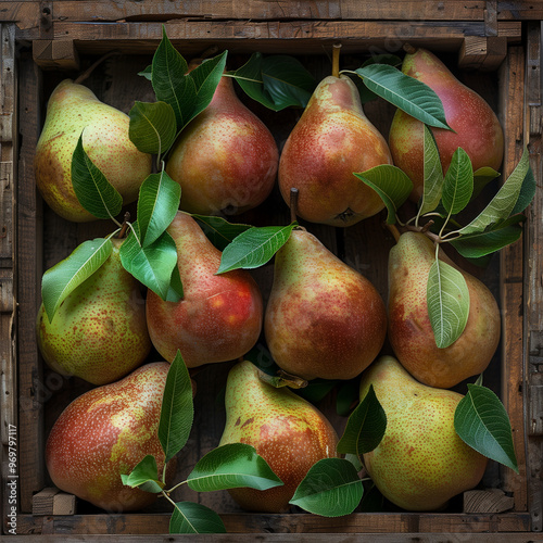 product shoot for a fruit brand, a bunch of succulant Forelle pears in a wooden box, highlights of green and red, food photography photo