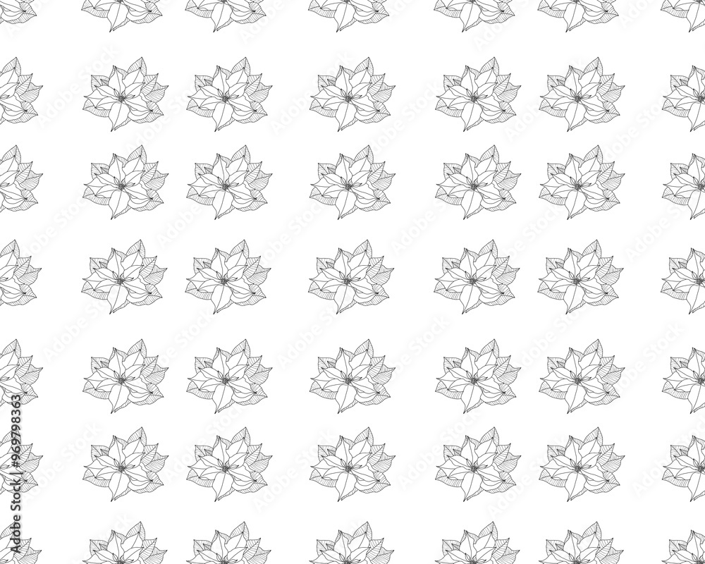 Christmas symbol. Floral seamless pattern flowers poinsettia line art white background.. Christmas symbol. Floral seamless pattern flowers poinsettia line art white background..