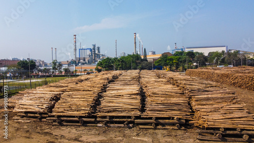 Toras de madeira eucalipto em um estoque industrial para a produção de papel e celulose em uma indústria em suzano sp brasil em um dia de sol photo