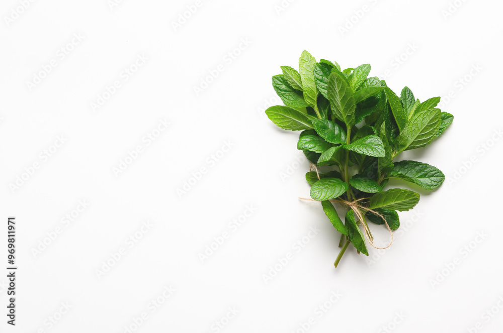 A bouquet of mint on white background. Horizontal format and copy space. A bouquet of mint on white background. Horizontal format and copy space.