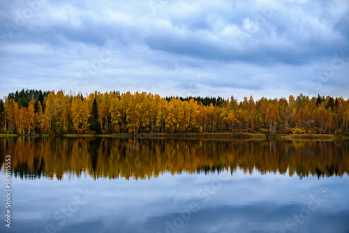 Forest reflected in water. Colorful autumn landscape in Finland