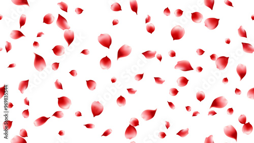 Rose petal red color seamles pattern background vector illustration. floral backdrop