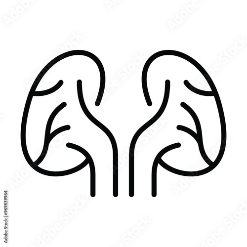 health and medical kidney icon