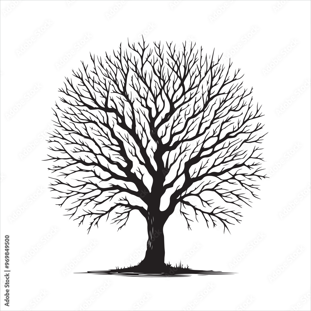 Obraz premium Hand drawn naked tree silhouette on white background 