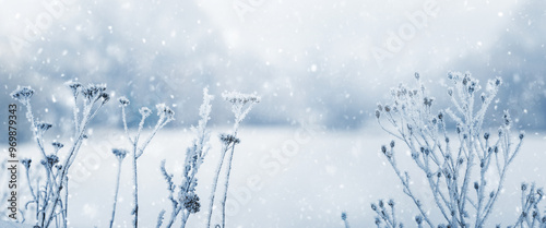 Foto Dry plants covered with frost in winter during a blizzard