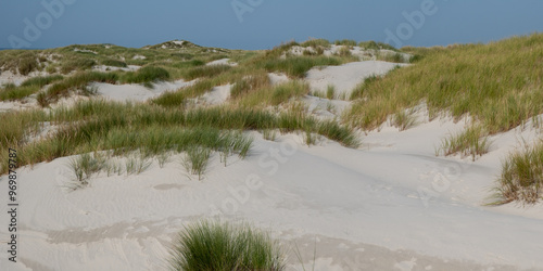 Dünenlandschaft mit weissem Pudersand auf der Frischen Nordseeinsel Amrum photo