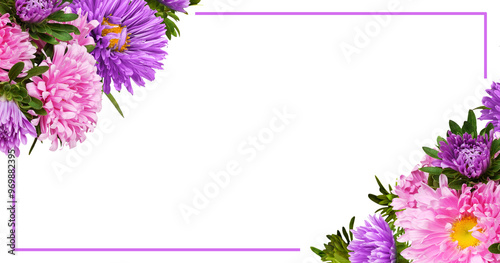 Pink and purple aster flowe...