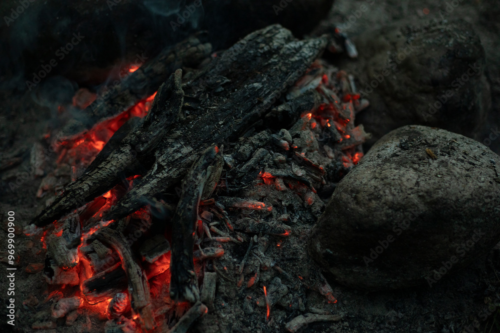 A fire in the woods. Flames from firewood. Picnic in the wilderness. A fire in the woods. Flames from firewood. Picnic in the wilderness.
