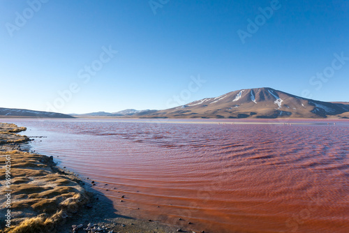 Laguna Colorada view, Bolivia