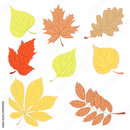 A set of multi-coloured leaves in a flat style. A colourful element of nature for design. Isolated plant object.