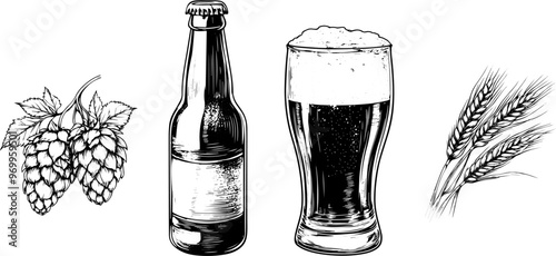 Vintage Beer Vector Sketch. Illustration of Wheat and Hops with Beer Bottles, Glasses, and Brewery Engraved Set.