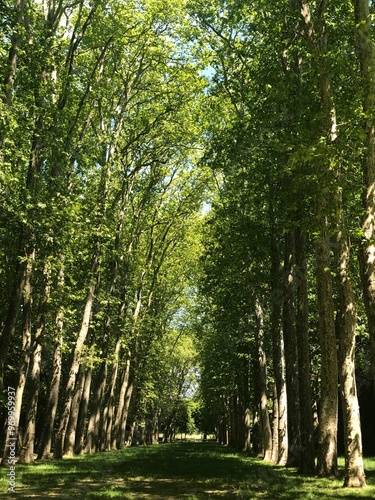 Versailles 