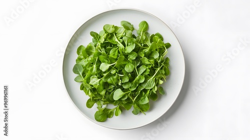 Fresh arugula leaves on a plate: top view of vibrant green salad greens