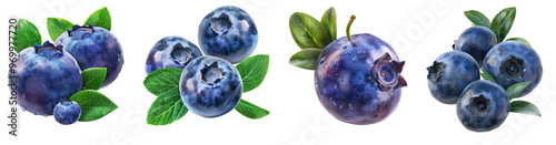 Fresh blueberry with leaves isolated on transparent background, set of