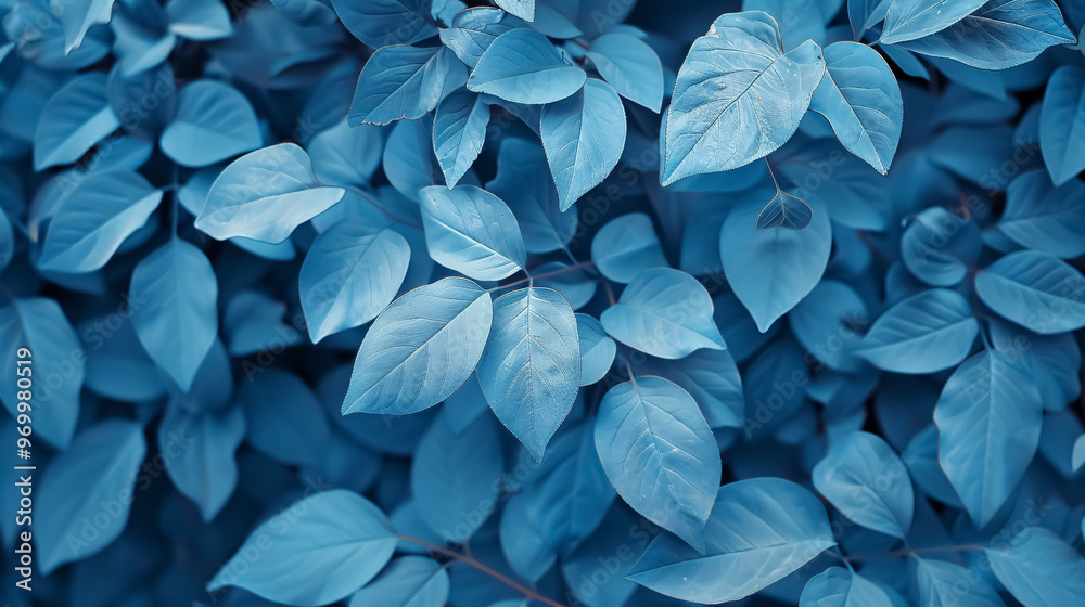 Blue plant leaves in nature during the fall season, with a blue background.