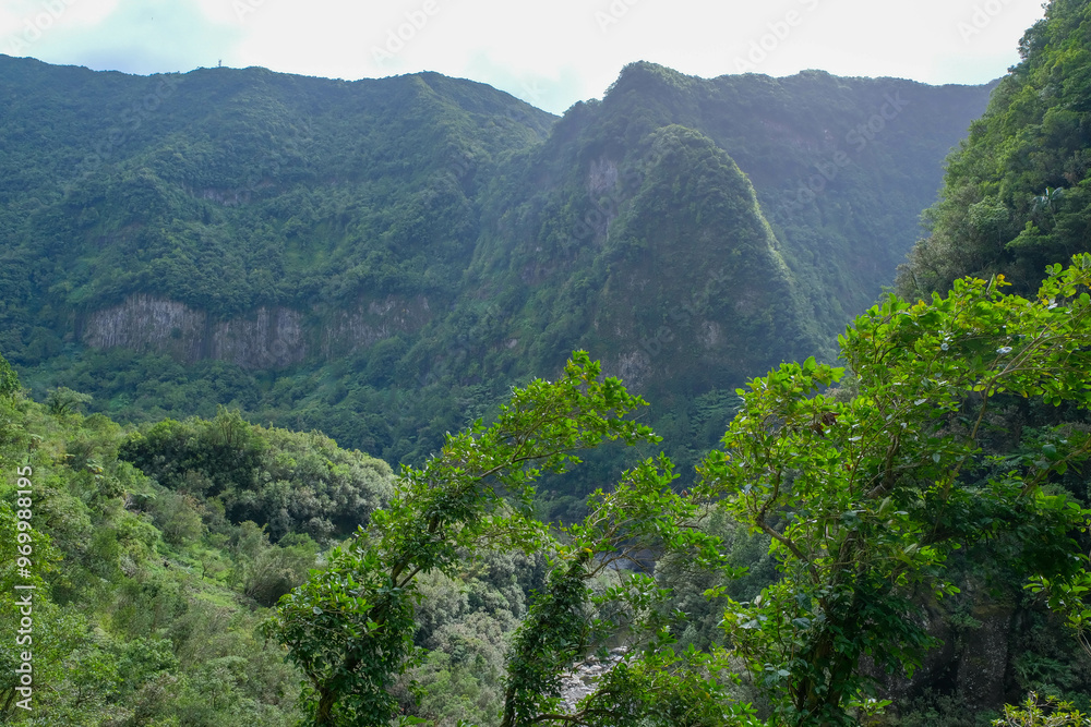 Naklejka premium Green rainforest on the Island of La Reunion, France