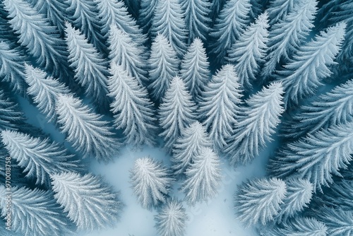 A drone photo of a dense winter forest filled with snow-frosted pine trees, creating a tranquil and cold wintry landscape from above