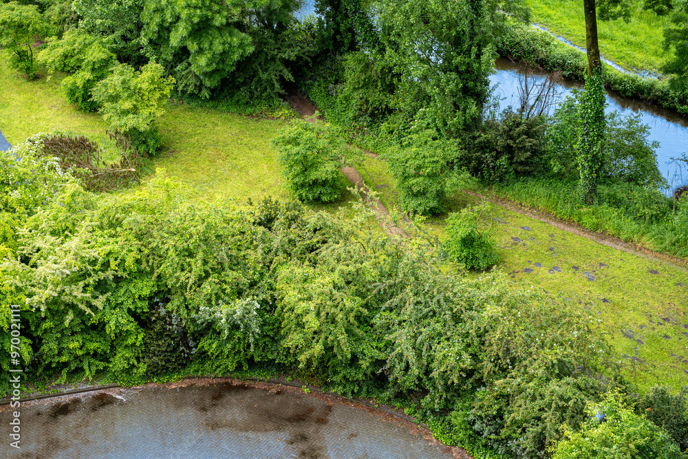Fototapeta premium Aerial View of a Lush Green Garden with Stream
