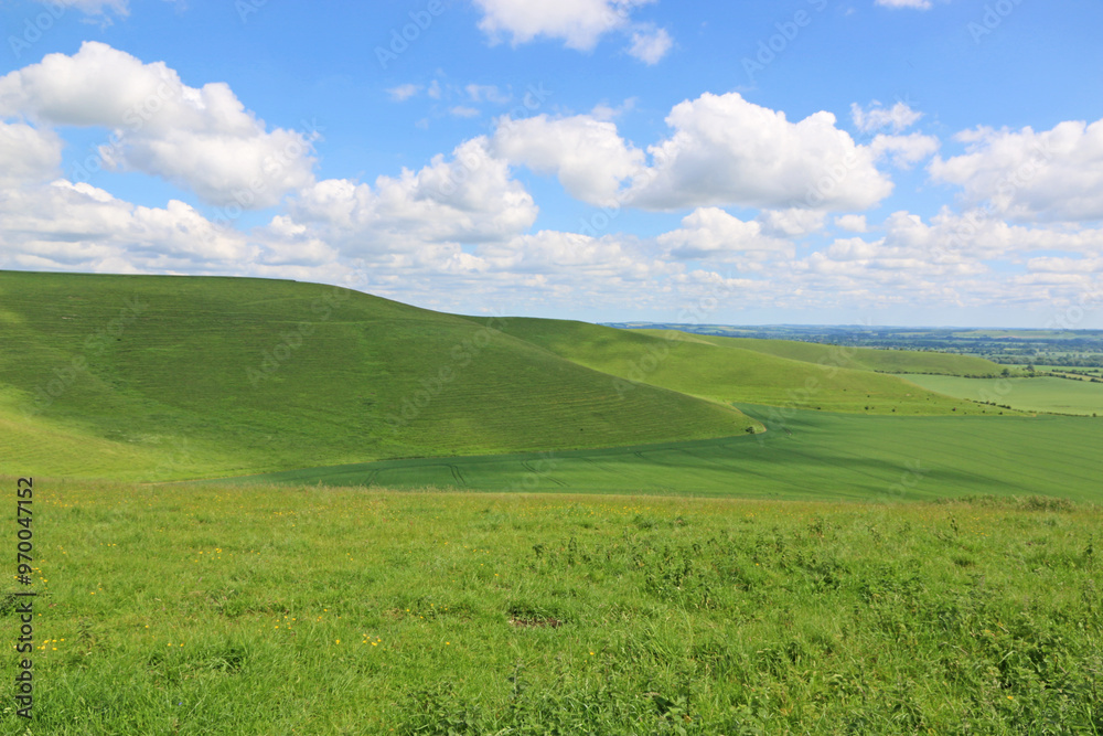 Hills of the Pewsey Vale in Wiltshire Hills of the Pewsey Vale in Wiltshire