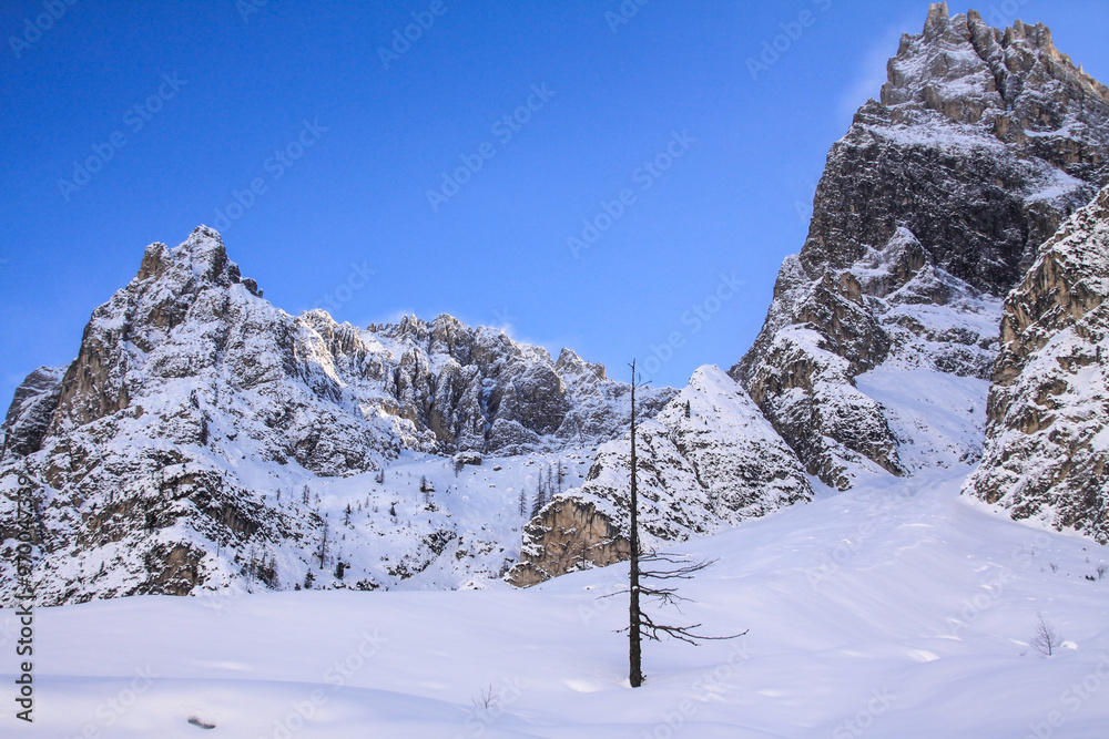 Winter Winter