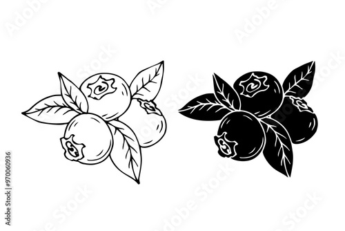Linear sketch, silhouette, stamp of wild blueberries. Vector graphics.