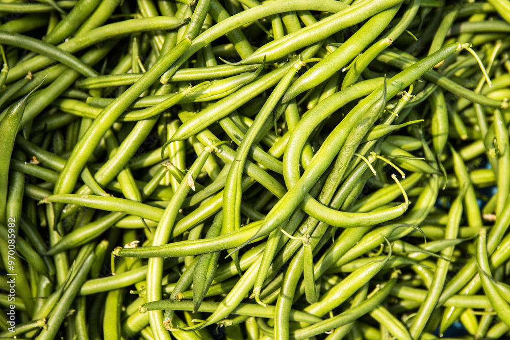 Closeup of a heap of fresh green beans in a local farmers market or grocery store. Pile of green yardlong beans for sell. Vegetable pattern.
Closeup of a heap of fresh green beans in a local farmers market or grocery store. Pile of green yardlong beans for sell. Vegetable pattern.