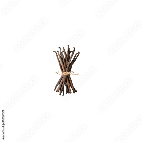 Dried vanilla beans tied with twine, showcasing their rich brown color and unique texture. Perfect for culinary uses and adding flavor to desserts. 