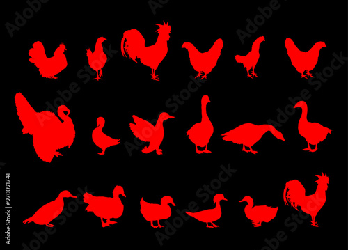 Farm fowl birds collection vector silhouette illustration isolated. Domestic poultry: Turkey, goose, rooster, chicken, hen, duck, Chinese goose. Ranch animals organic food. Village traditional farming