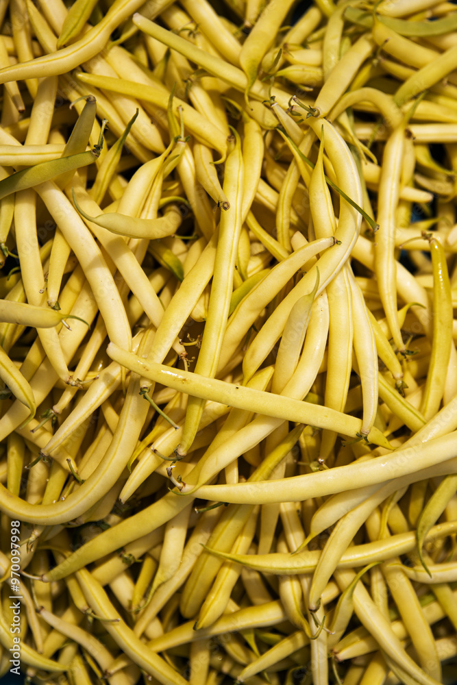Closeup of a heap of fresh yellow beans in a local farmers market or grocery store. Pile of yellow yardlong beans for sell. Vegetable pattern.
Closeup of a heap of fresh yellow beans in a local farmers market or grocery store. Pile of yellow yardlong beans for sell. Vegetable pattern.