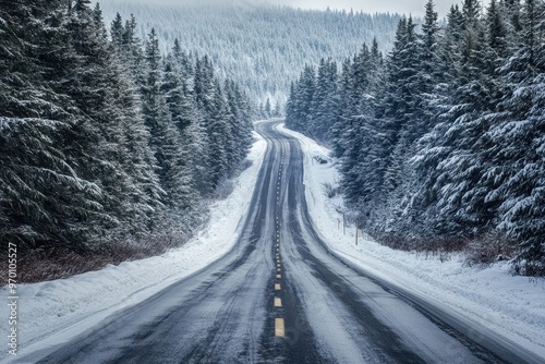 Snow covered fir trees lining icy road in Canada