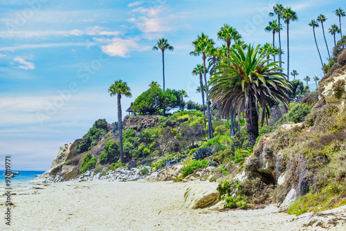 Beautiful landscape of Laguna Beach ocean coastline with palm trees in Treasure Island Park, Orange County, California, USA