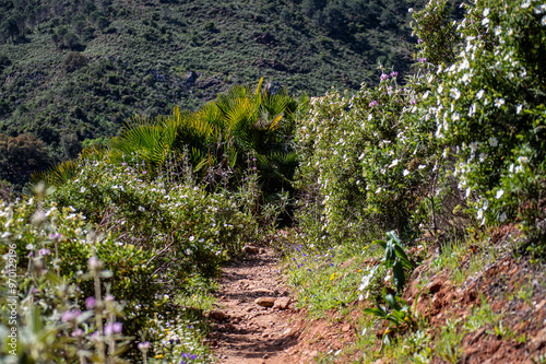 Hiking trail to waterfalls over river Caballos, Sierra de la Nieves National Park in Tolox, Malaga, Spain photo